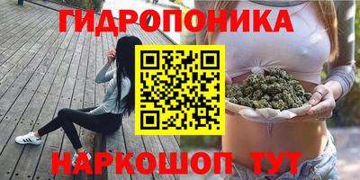метадон Бердск