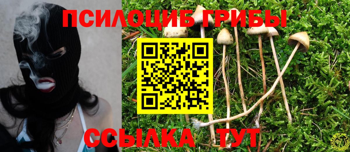 Луга  Псилоцибиновые грибы Psilocybe  Галлюциногенные грибы ЛСД  Вход с VPN 