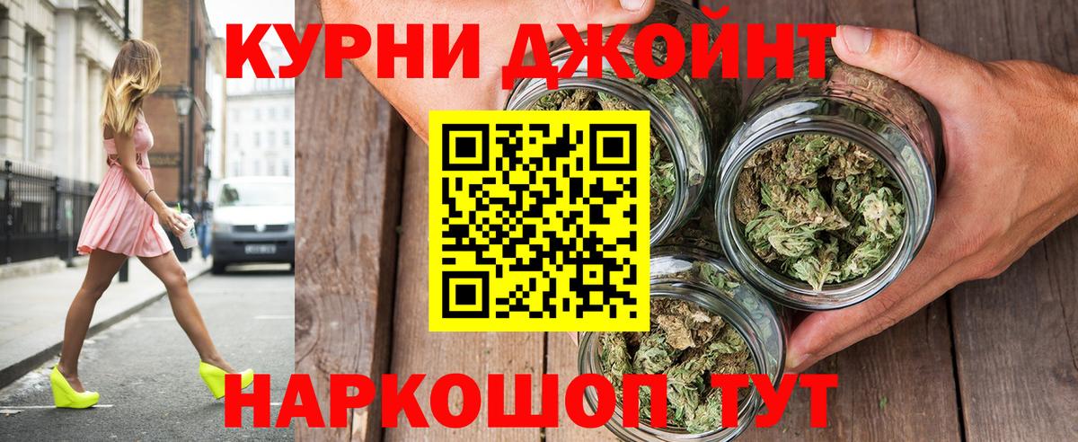 Канабис OG Kush Луга